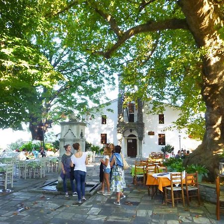 Aparthotel Archontiko Michael Pelion Vizitsa Exteriér fotografie