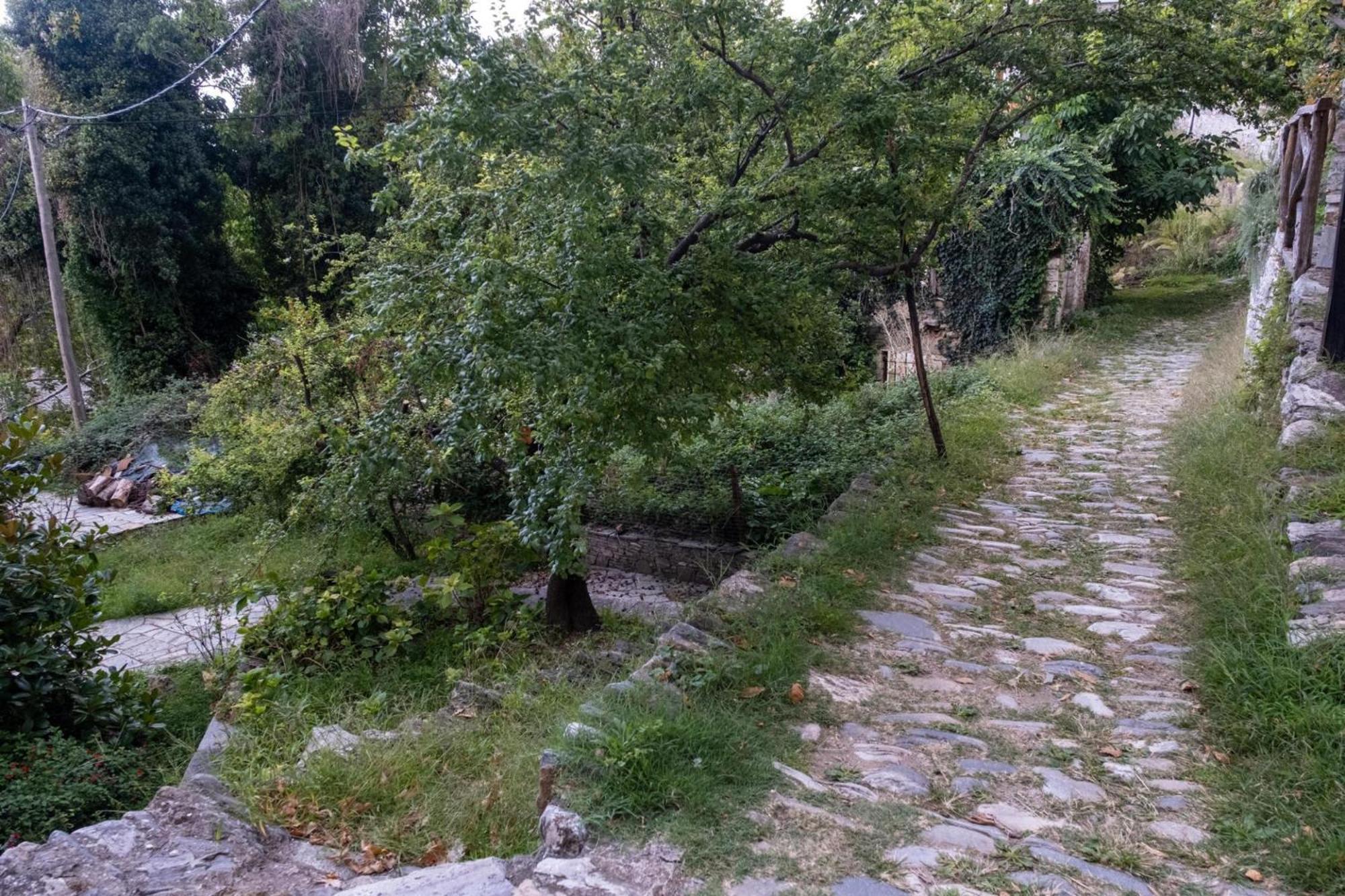 Aparthotel Archontiko Michael Pelion Vizitsa Exteriér fotografie