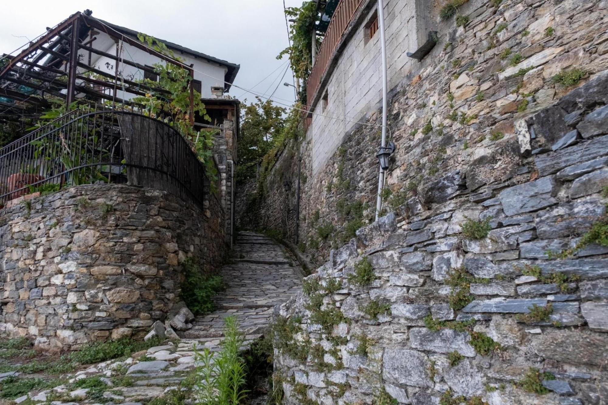 Aparthotel Archontiko Michael Pelion Vizitsa Exteriér fotografie