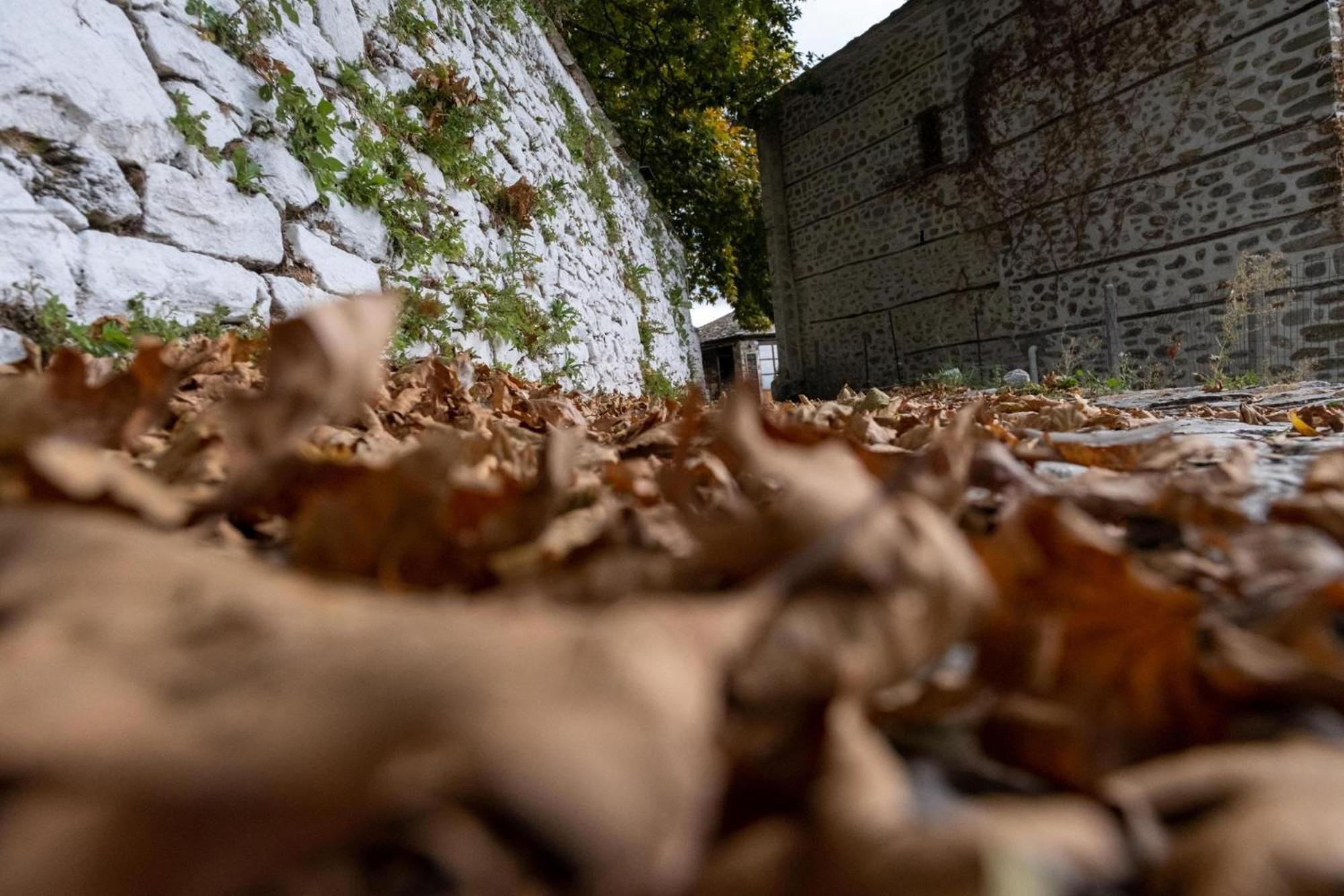 Aparthotel Archontiko Michael Pelion Vizitsa Exteriér fotografie