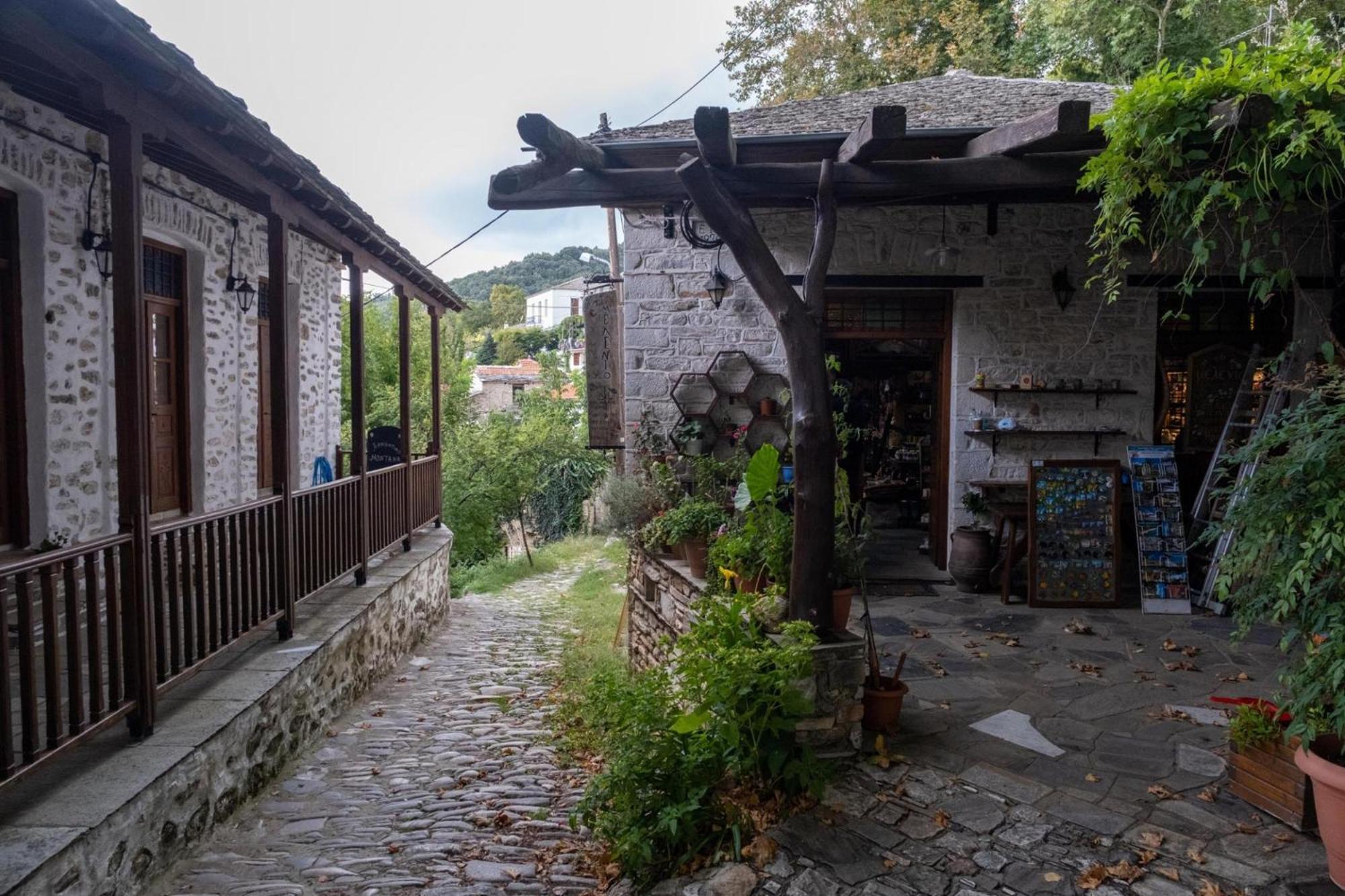 Aparthotel Archontiko Michael Pelion Vizitsa Exteriér fotografie