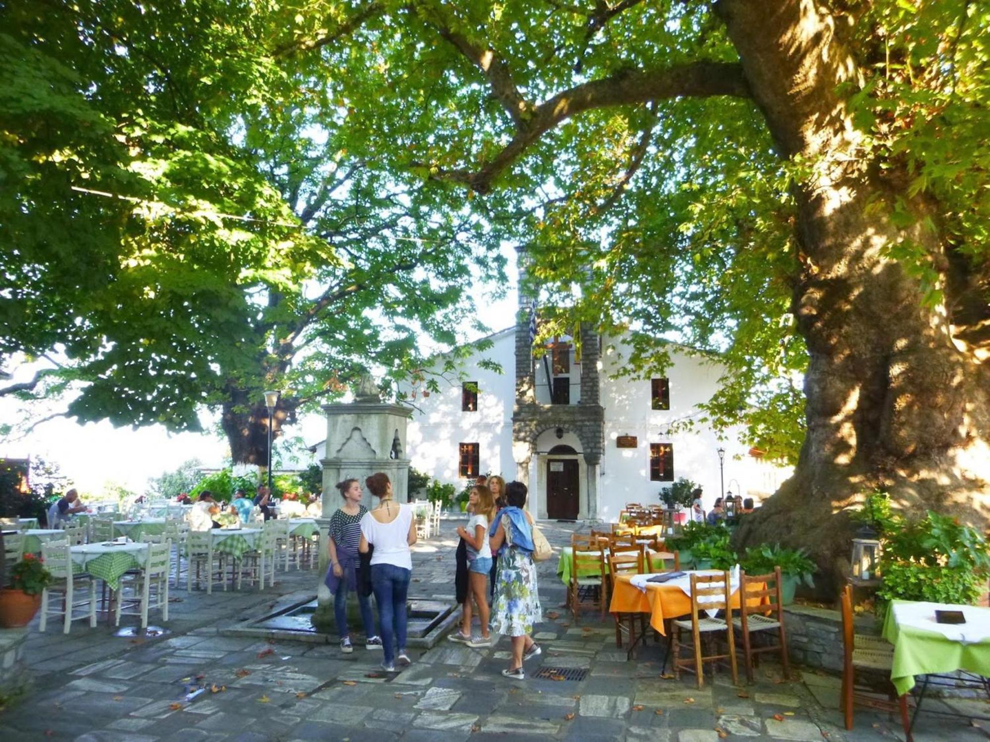 Aparthotel Archontiko Michael Pelion Vizitsa Exteriér fotografie