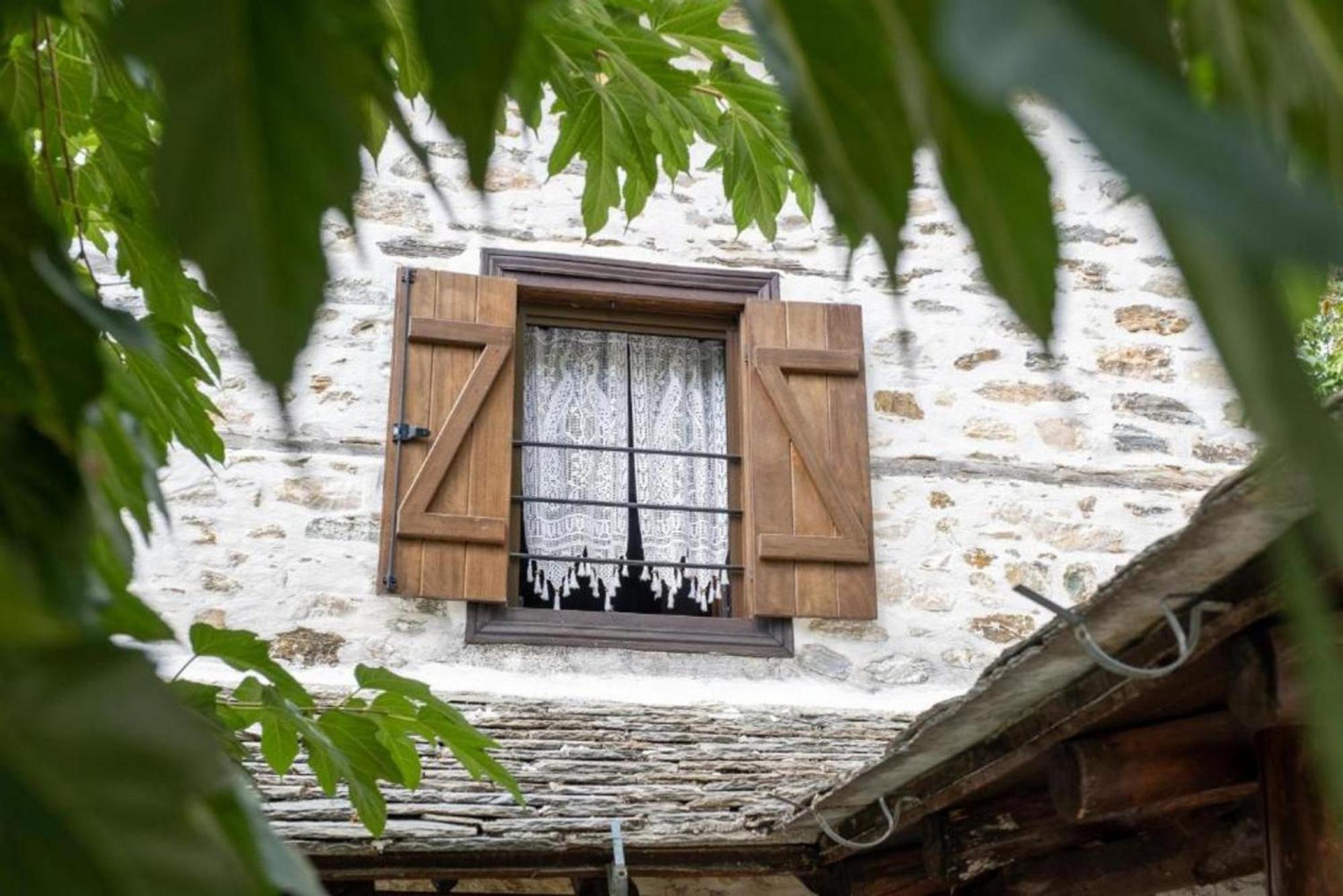 Aparthotel Archontiko Michael Pelion Vizitsa Exteriér fotografie