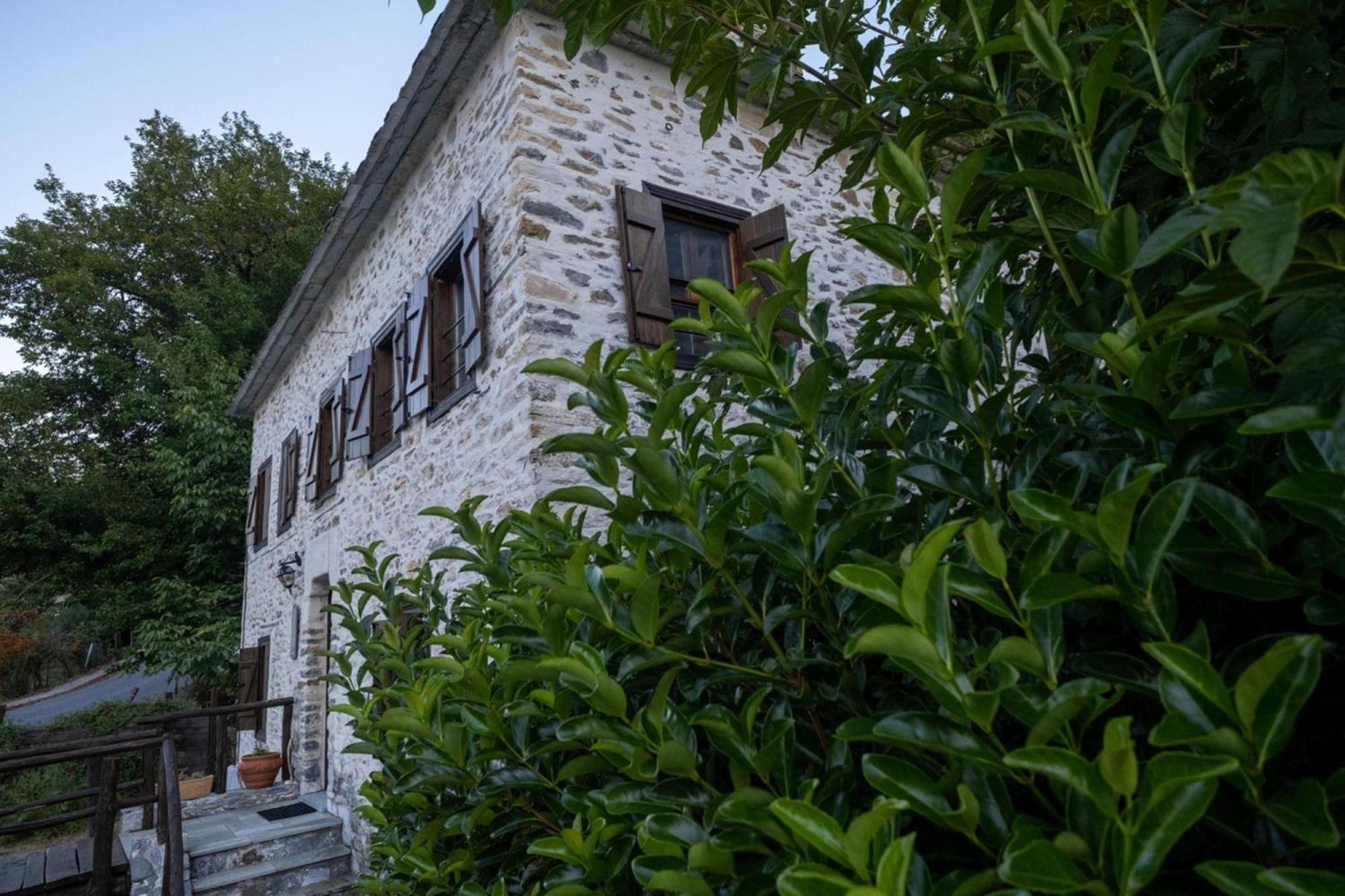 Aparthotel Archontiko Michael Pelion Vizitsa Exteriér fotografie